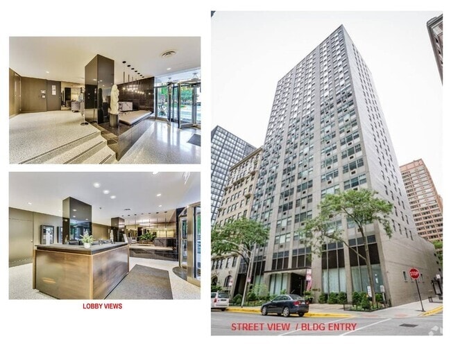 Building Photo - 253 E Delaware Pl Unit Streeterville Studio Rental