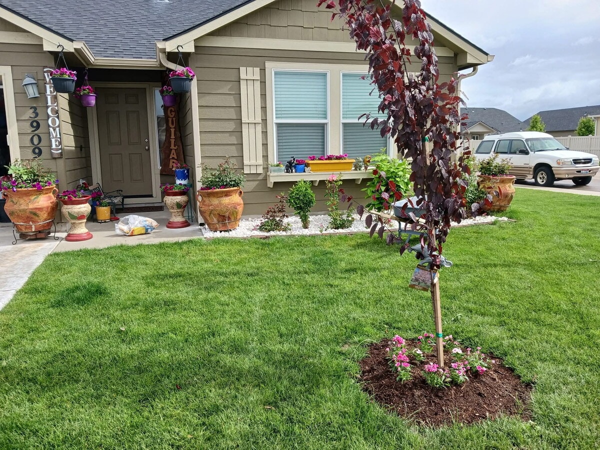 Photo - 3909 Bobwhite St