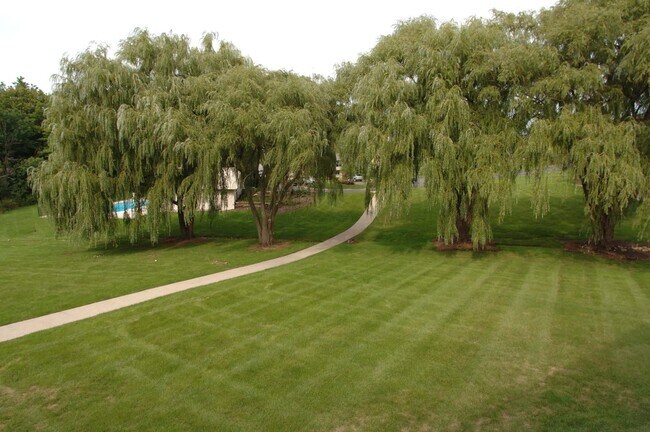 Outdoor Space