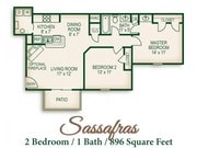 Sassafras