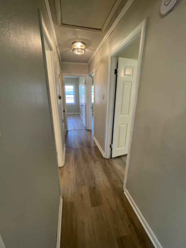 219 Sterlington Dr Rental House Rental in Monroe, LA