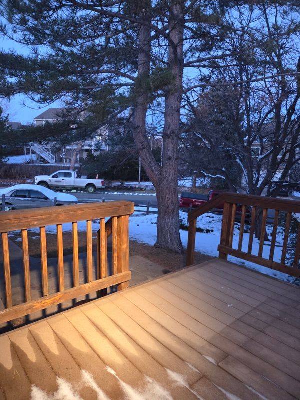 Photo - 10722 W Berry Ave