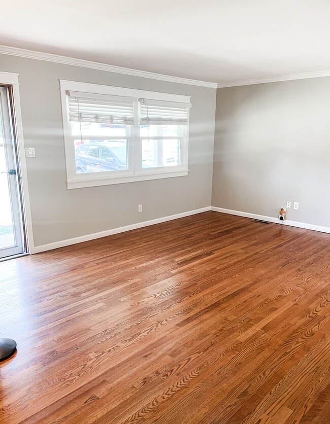 Photo - 229 Elkmont Rd
