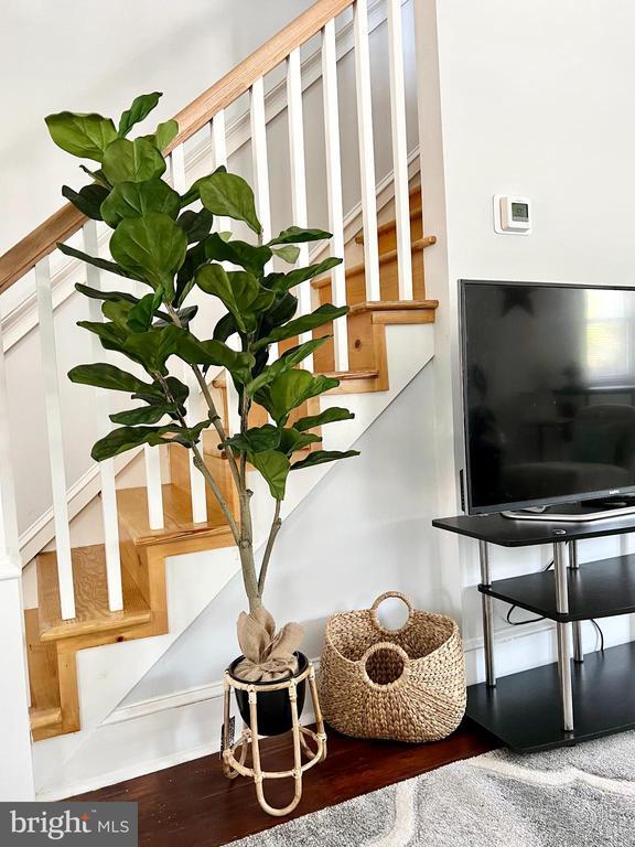 Photo - 12 Birch Ave