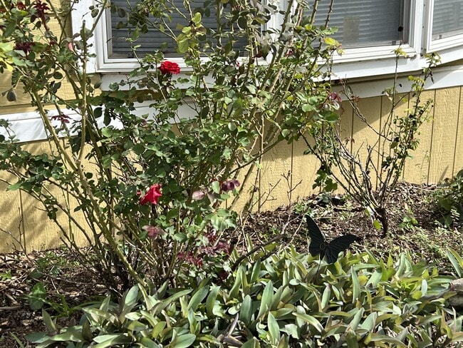 Photo - 50 Willowbrook Ct