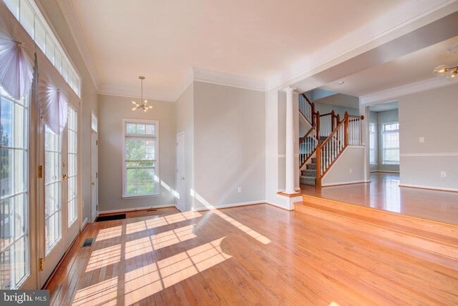 Photo - 25130 Cutgrass Terrace