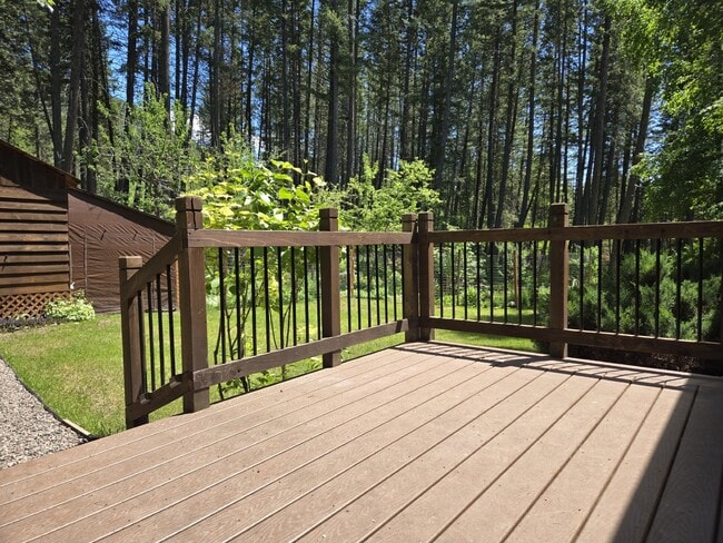 Photo - Rare find! Cute 2 bedroom cottage in the woods (sort of)