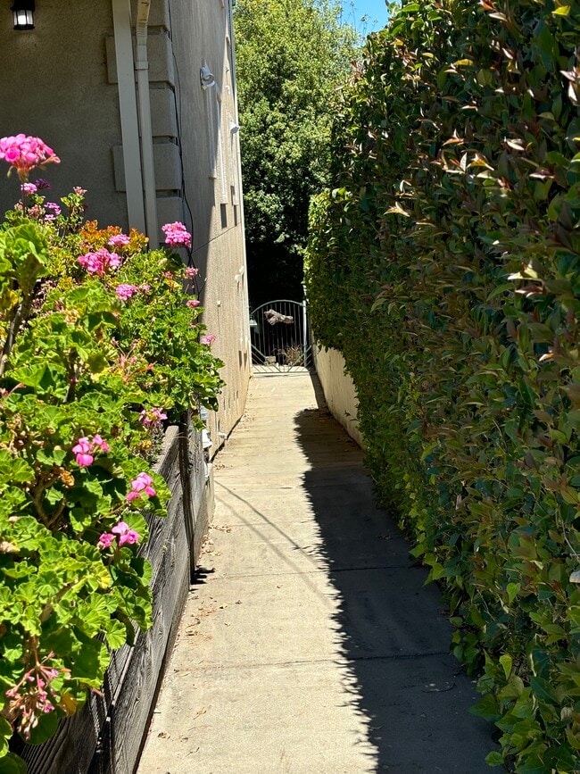 pathway to apartment - 4460 Stanford Ave Unit in- law