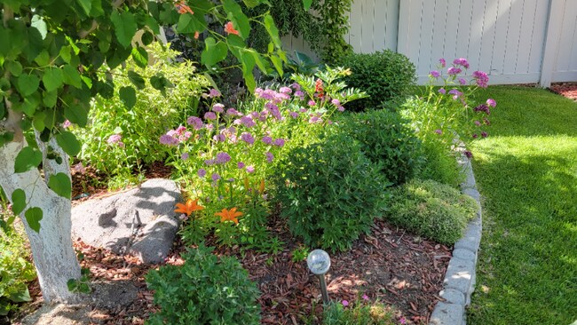 Photo - 807 Whisper Cove Rd