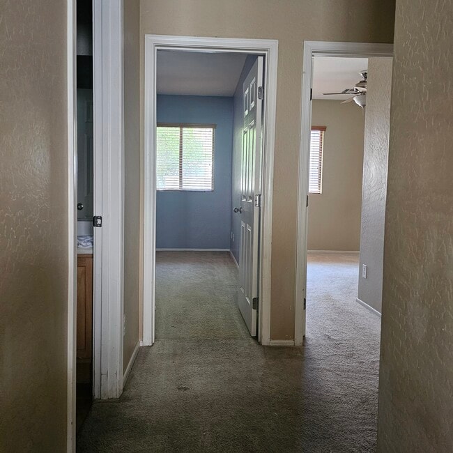 Photo - 1341 E Strawberry Dr
