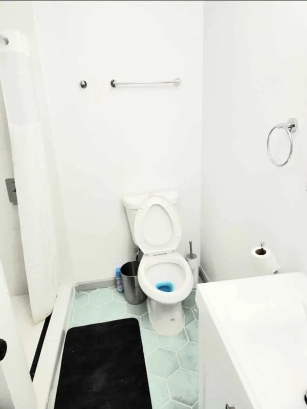 Photo - 909 Greencove Dr