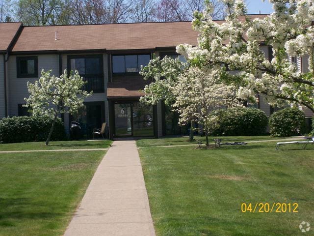 Entrada del edificio - Tall Trees