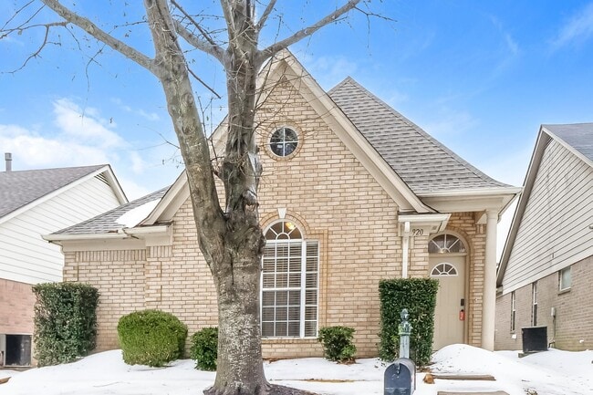 Building Photo - 920 Spanish Trail Ln