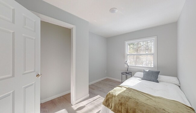 Photo - Nasson in the Pines