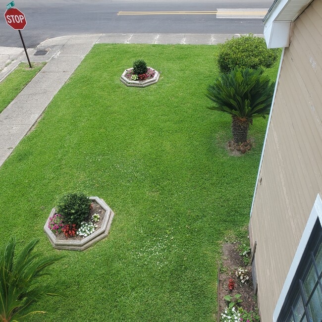 Photo - 314 Julia St