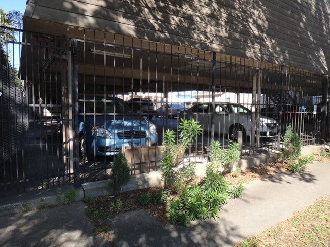 Photo - Sulross Garden