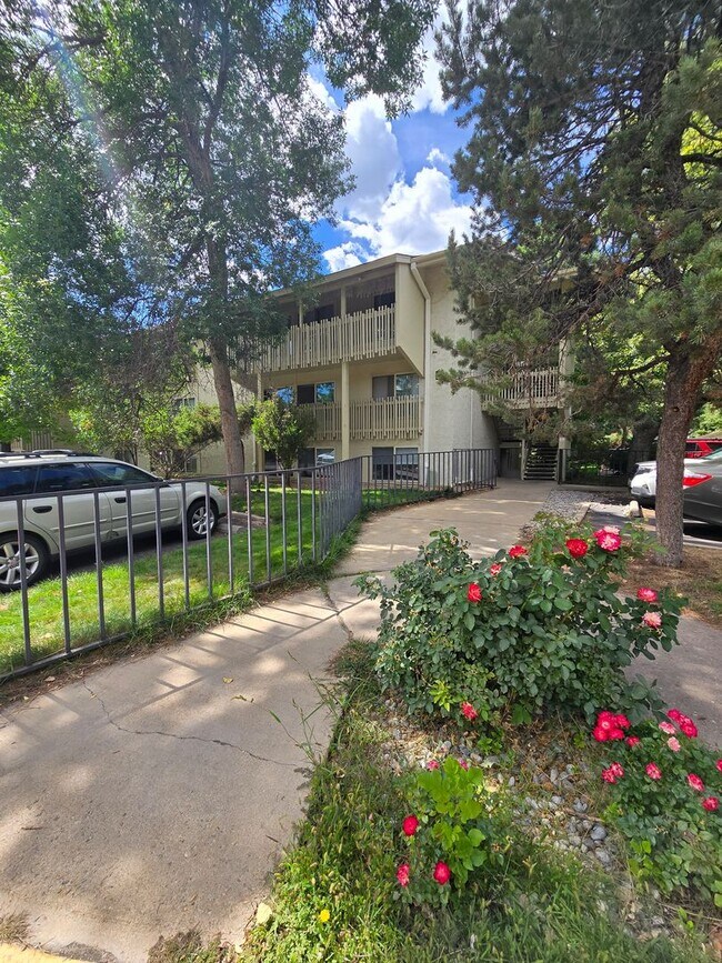 Garden-level Condo - Garden-level Condo