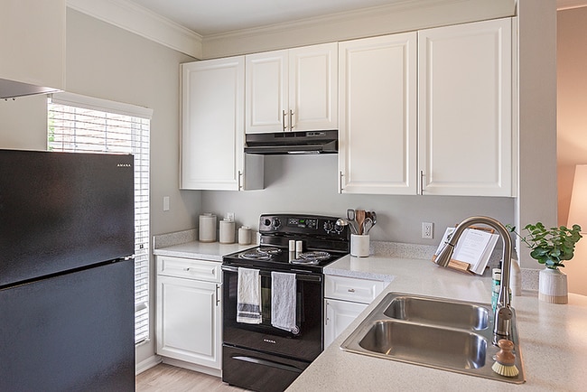 Fully Equipped Kitchens