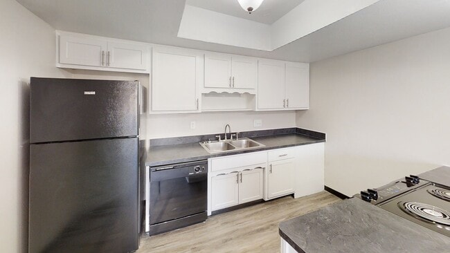 Modern kitchen with sleek black appliances, ample white cabinetry, and a spacious countertop for culinary enthusiasts.