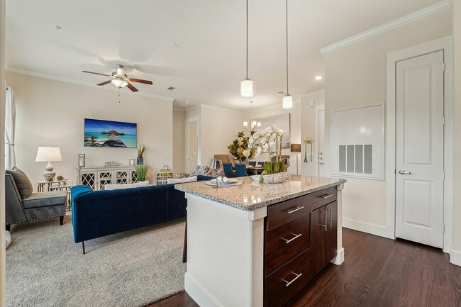 Cocina y sala de estar - Ivy Point Kingwood