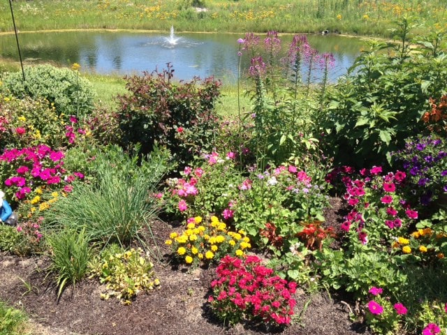 Photo - The Parkview Senior Apartments- 55+ Community