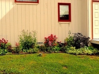 Photo - Beautiful spacious ground level 2 bed 1 ba...