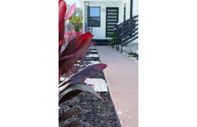 Building Photo - 6106 S Fairfax Ave Unit 6106 S Fairfax Ave A Rental