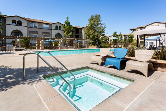 Pool and Sundeck - Avalon Camarillo Apartments