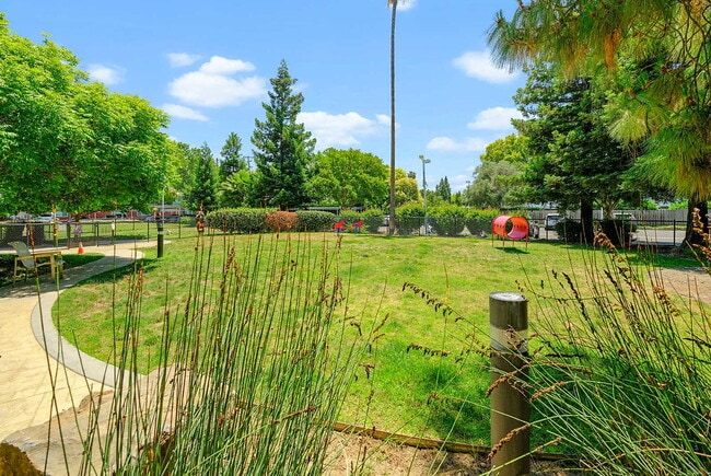 Photo - The Parc at Pruneyard