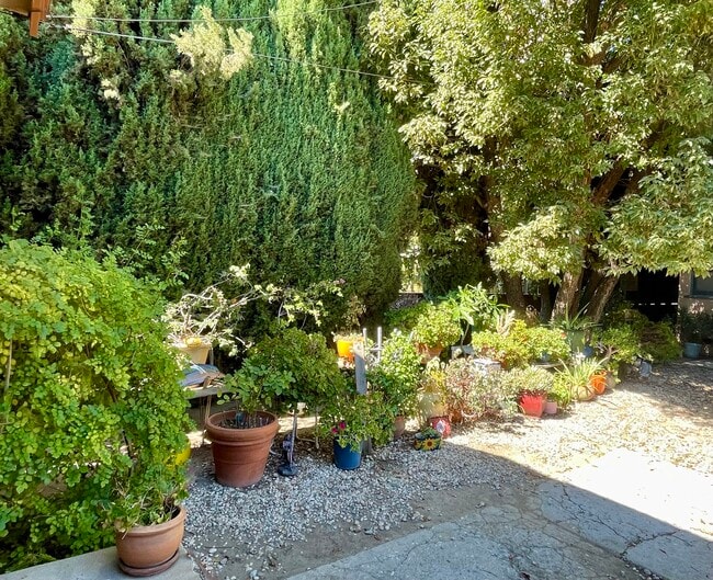 Beautiful garden - 614 N Atlantic Blvd Unit C