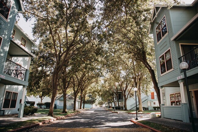 Swooping shade and landscape - Arlington Farm Apartments
