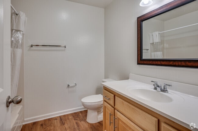 Studio, 1 BA - 530 SF - Regency Plaza Apartments