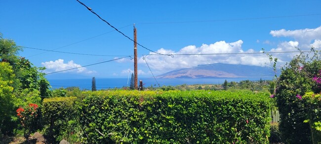 MAUI MEADOWS UNFURNISHED 3 BD. 2 BATH HOME... - MAUI MEADOWS UNFURNISHED 3 BD. 2 BATH HOME...