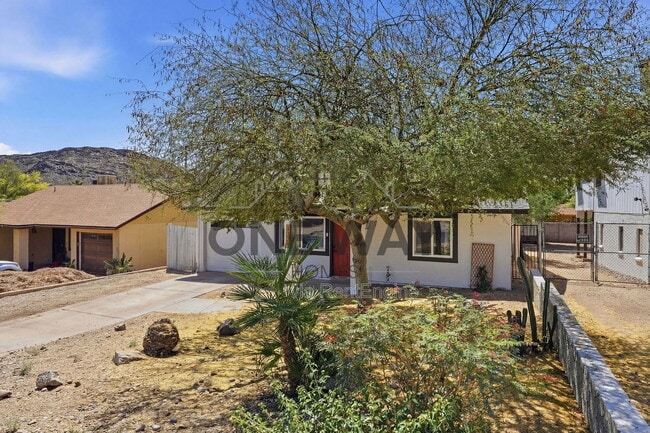 Photo - 1329 E Cholla St