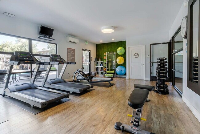 Photo - Magnolia Square