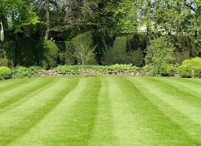 Photo - Oak Ridge Apartments