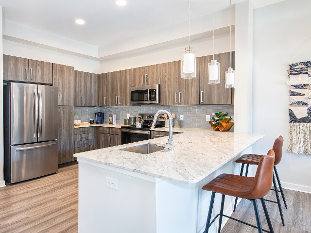 Luxurious Kitchen