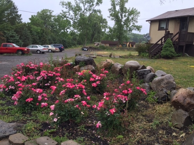 Photo - 138 Honness Ln Apartamentos