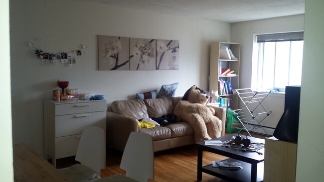 Photo - 20 Radcliffe Rd Apartamentos Unidad 403