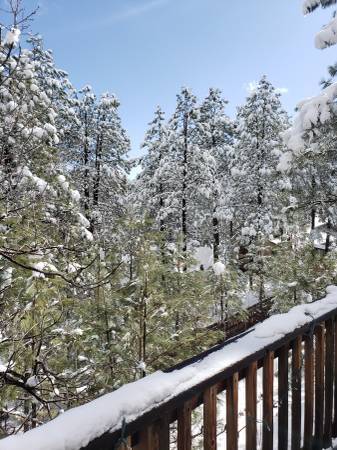 Photo - 3174 Lindsey Loop Unit Large Private Bedroom