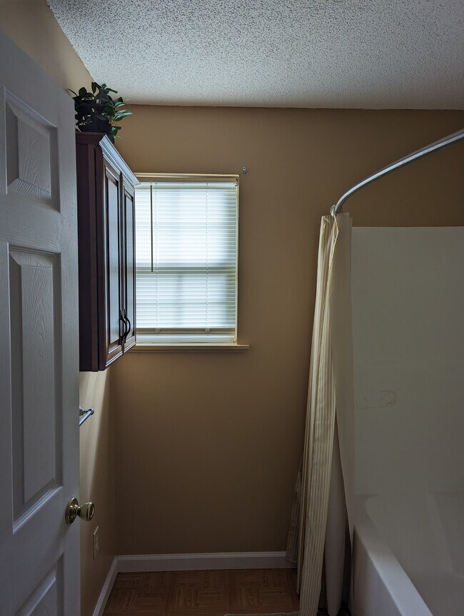 Master bathroom - 208 Henderson Dr House