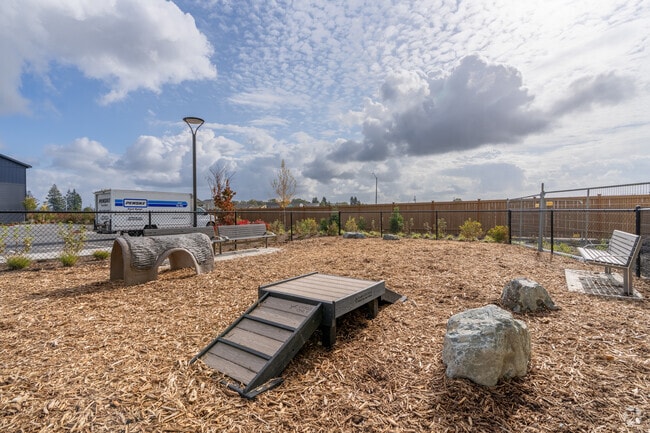 Dog Park - Motto Apartments