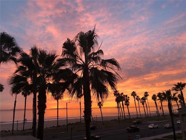 Photo - 1516 Pacific Coast Hwy Unit 304