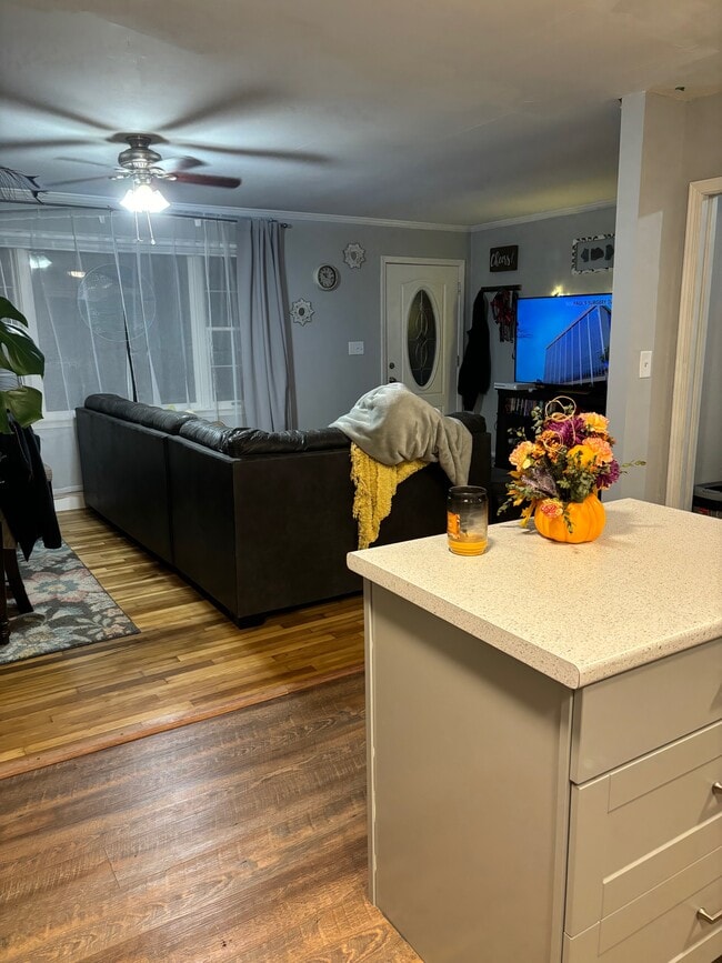 Photo - 218 Hunter St