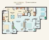 The Cypress
