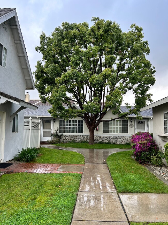 Photo - 613 S 5th Ave Unidad C