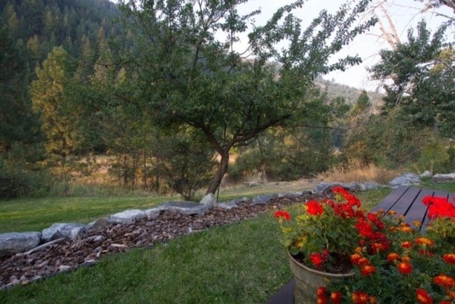 West View from deck - 9491 Miller Creek Rd House
