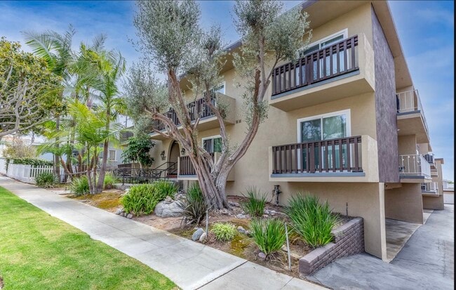 Photo - The Olive Branch