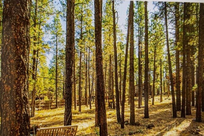 Photo - 1455 W University Heights Dr N