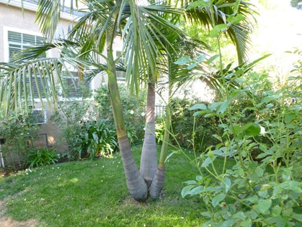 Photo - 14645 Moorpark